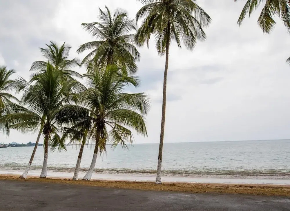 Paradise Agua Leve Residential
