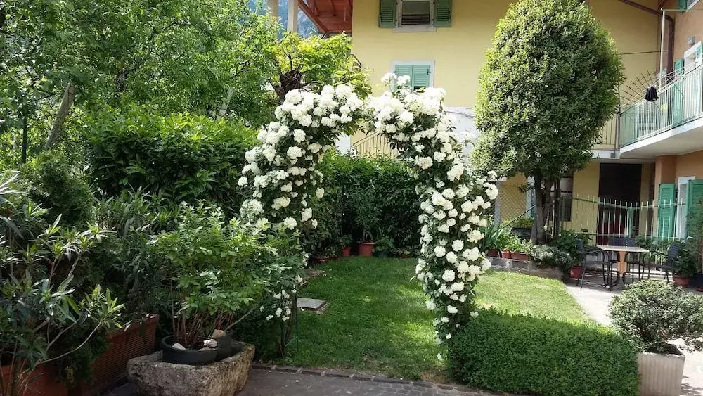 Casa Del Noce