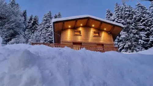 Chalet Aravis