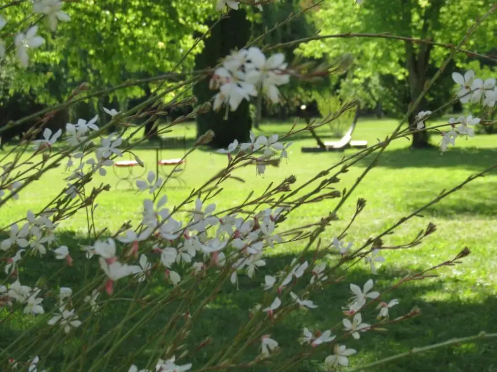 Le Jardin
