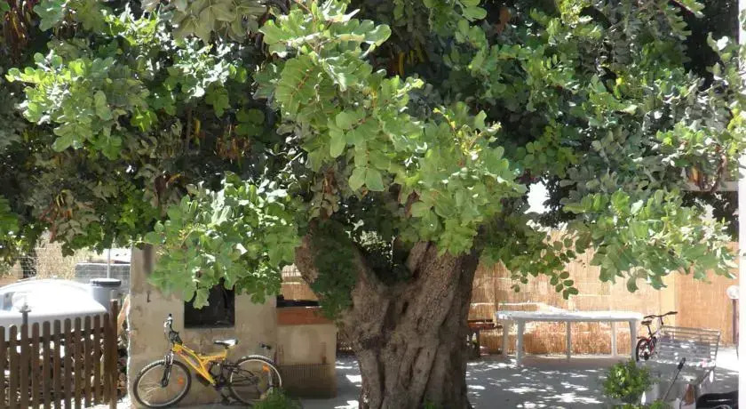 Appartamenti Carrubba