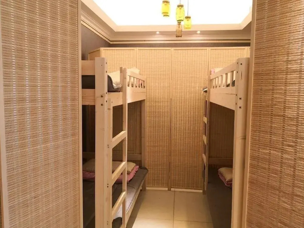 Best Cat Hostel
