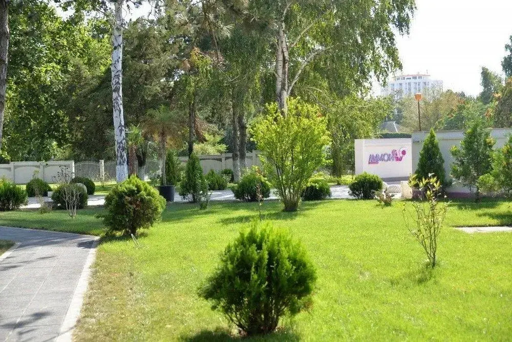 ibis Styles Venus