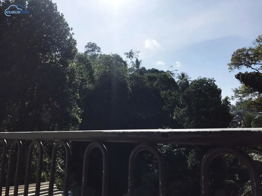 Cloud Nine