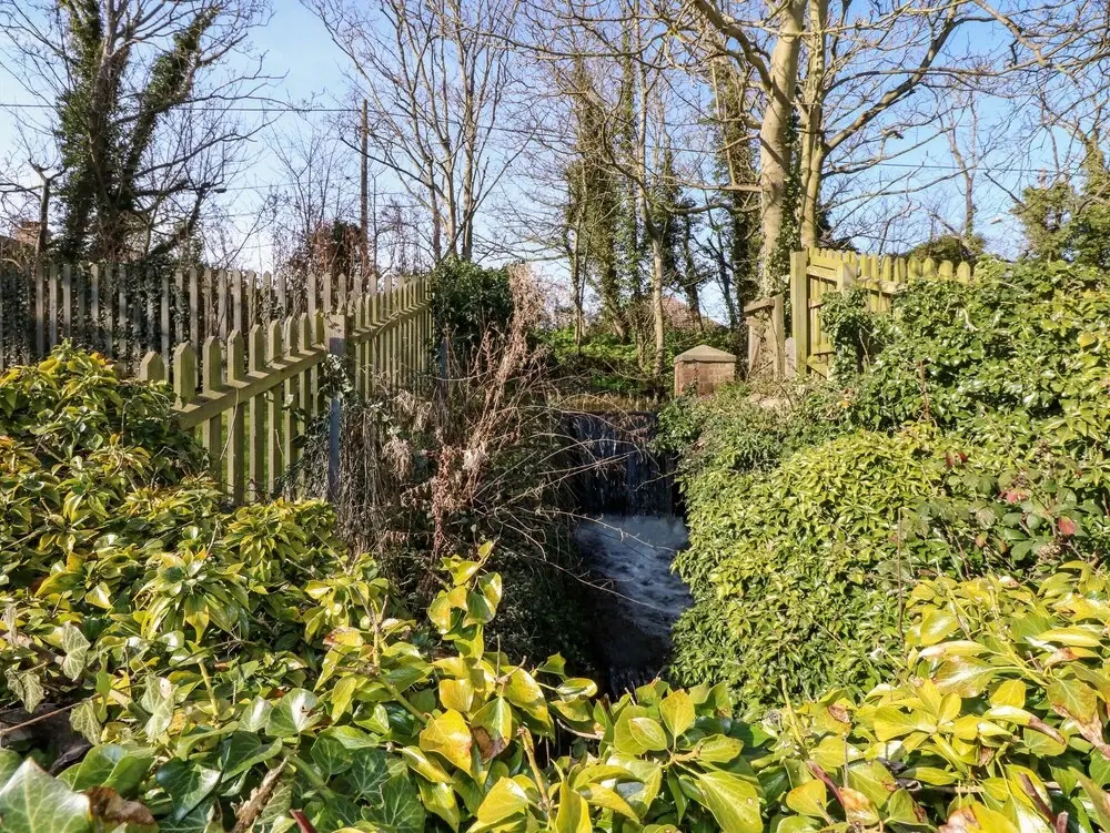 14 The Dell