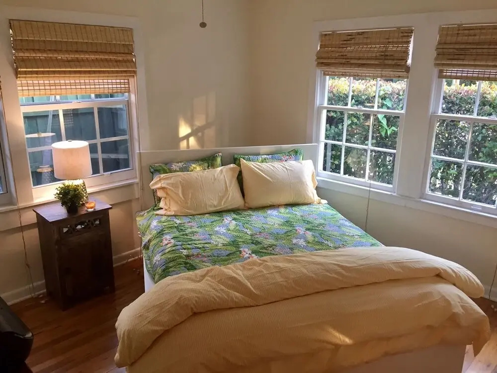 Palm Beach Oasis