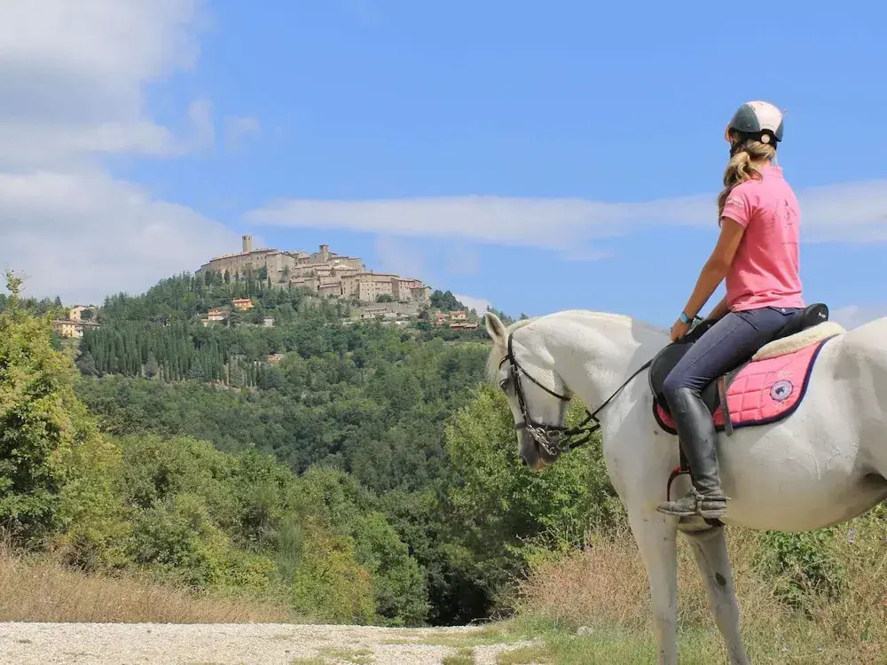 Farmhouse with stables, horses and the ability to make horseback riding