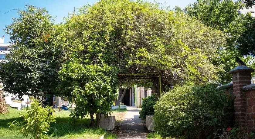 Viña City Hostel II