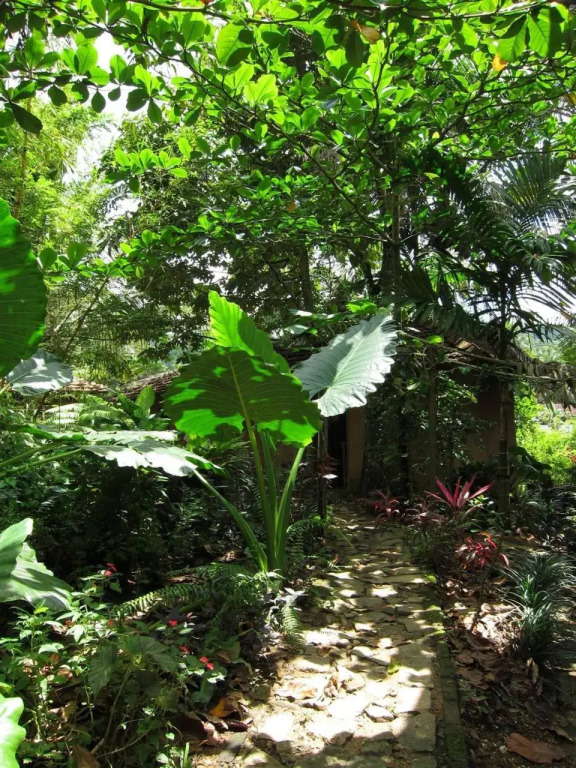 Rural Jungle Backpackers Hostel