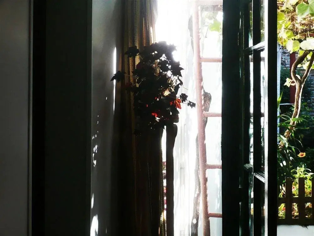 Che Lagarto Hostel Colonia
