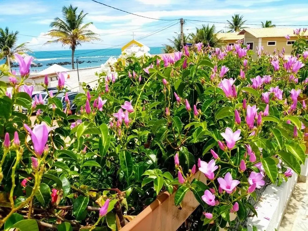 Pousada Ilha Verde