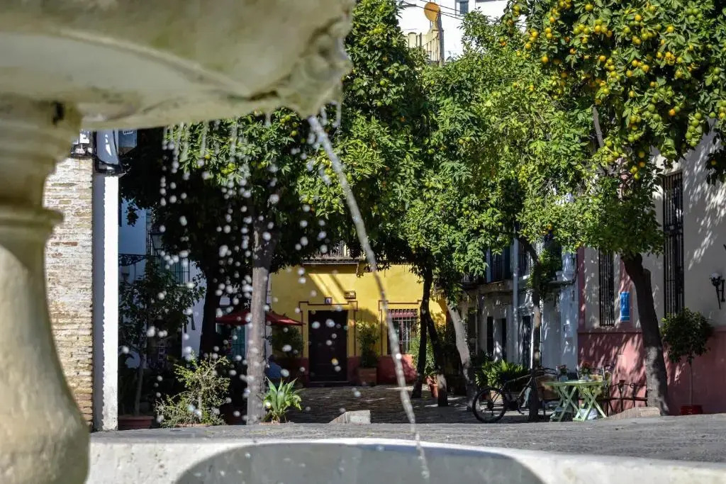 ESTUDIO 10 Junto a La Campana Alameda Setas
