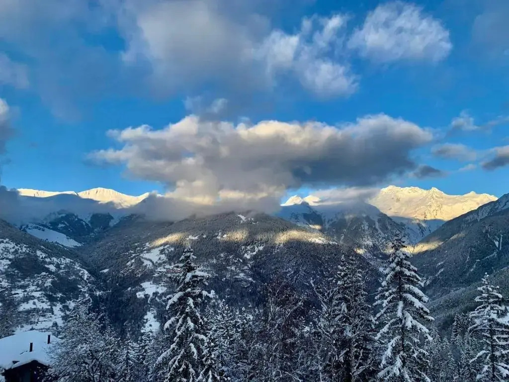 Appartement Courchevel 1550, 3 pièces, 4 personnes - FR-1-664-10