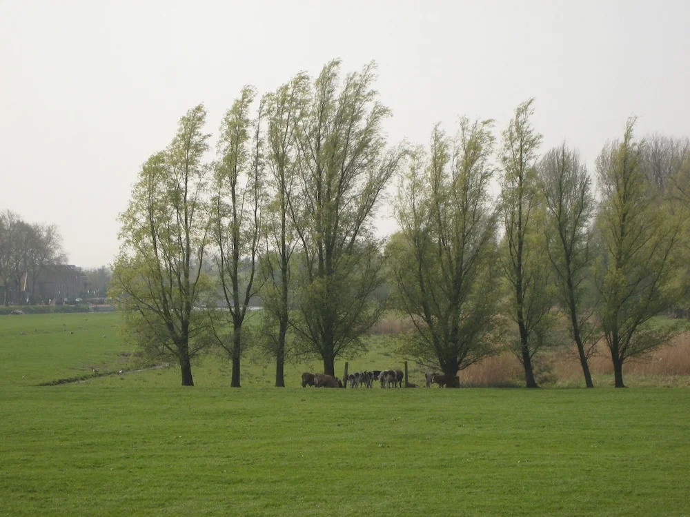 Farmhouse in Oosterwijk by River Linge