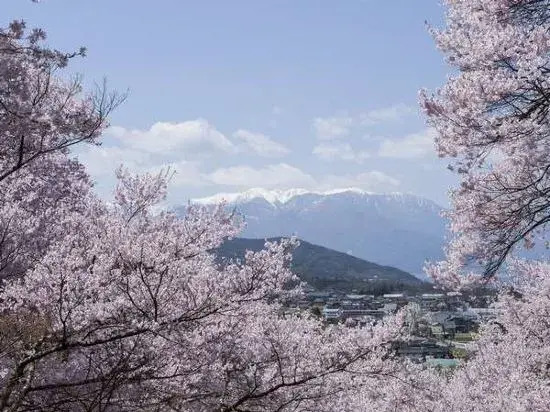 Takato Sakura Hotel