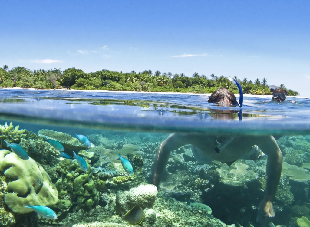 Vomo Island Resort