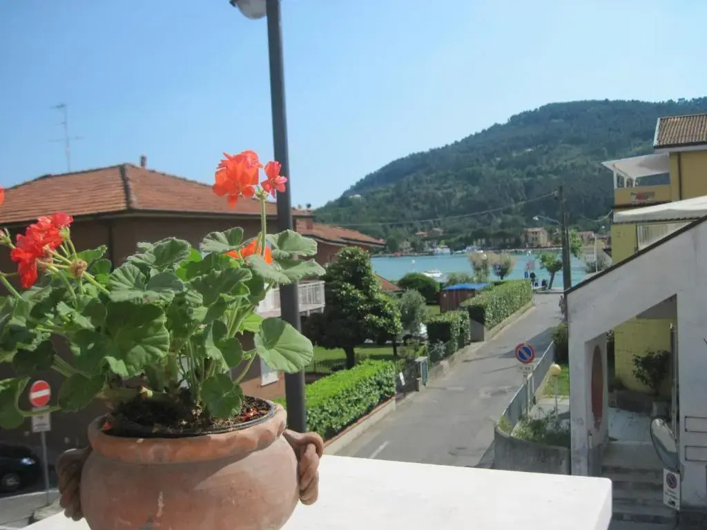Residence Pax