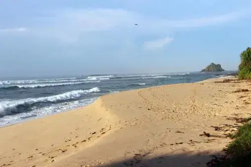 Laguna Surfing Stay