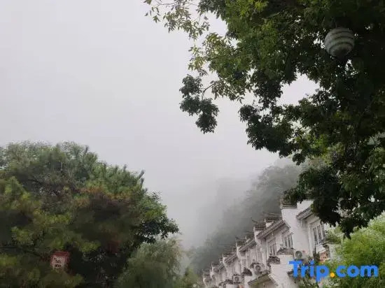 Yiru Homestay (Zhouzuling Yaowangdong Wellness Town Scenic Area)