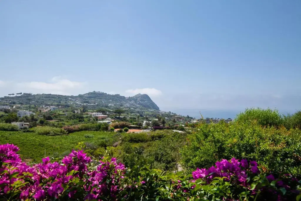 Villetta con Giardino esclusivo di 1000 mq, Piscina, Tennis, Calcio, Bocce