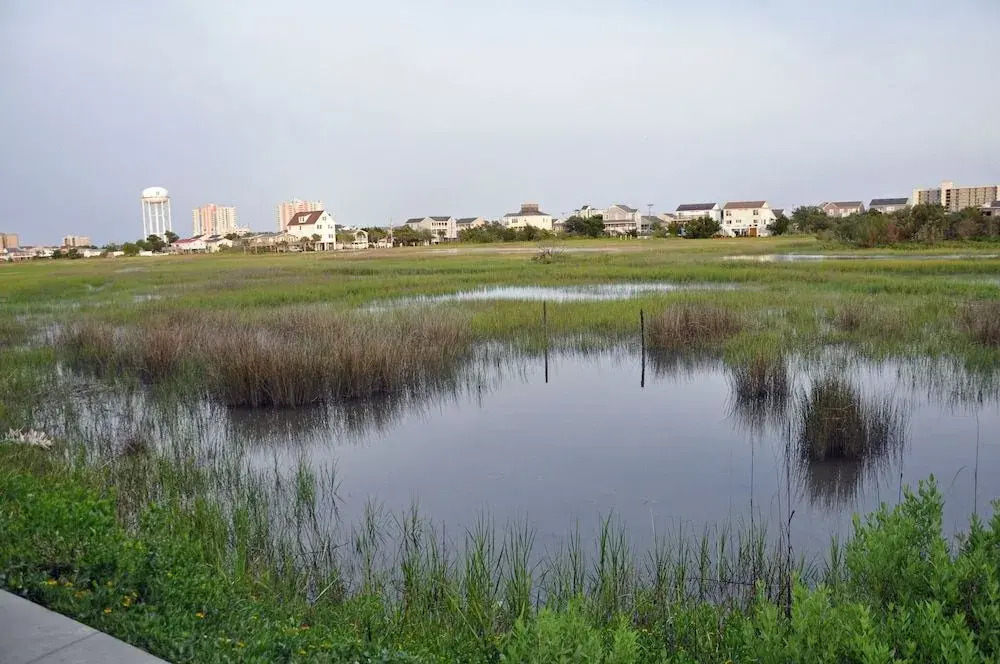 2314 Point Marsh 5BR Home