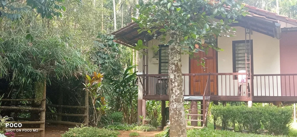Family villa is a hut style accommodation