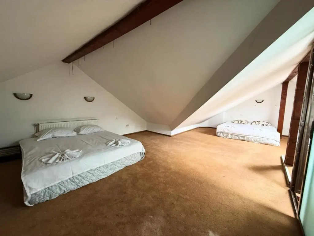 TreeZ Hostel
