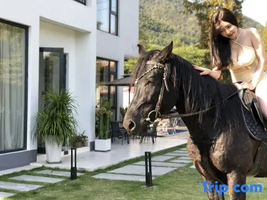 Yingshishan Villa·Nordic Modern Design Holiday Meisu (Moganshan International Tourism Resort)