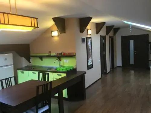 Apartament Miruna