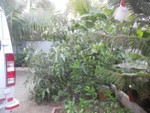 Palakal Residency