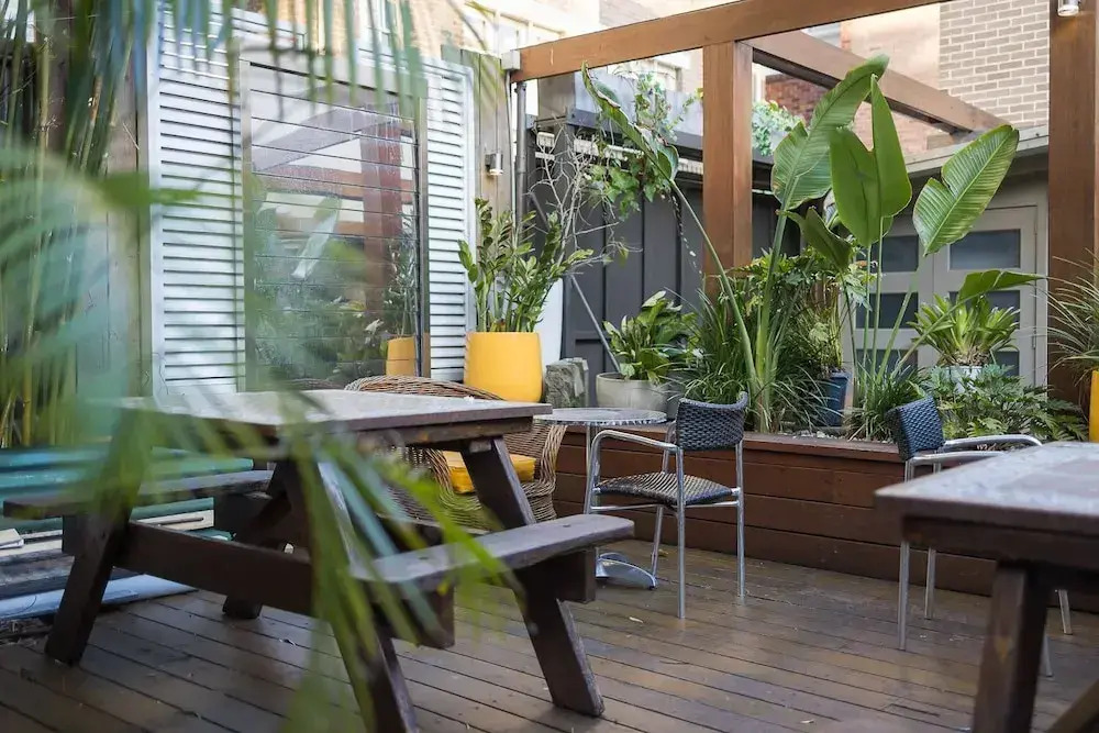 London Plane Backpackers