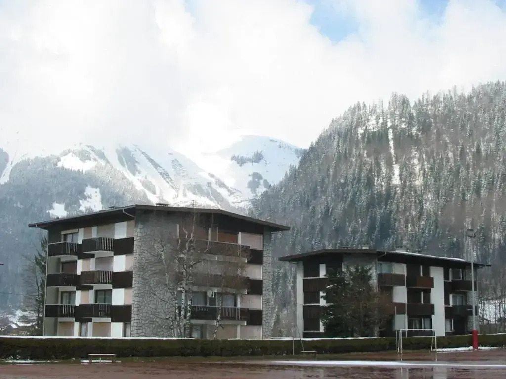 Appartement Morzine, 3 pièces, 6 personnes - FR-1-524-8