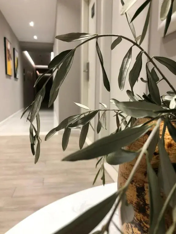 Hotel Oresti Center