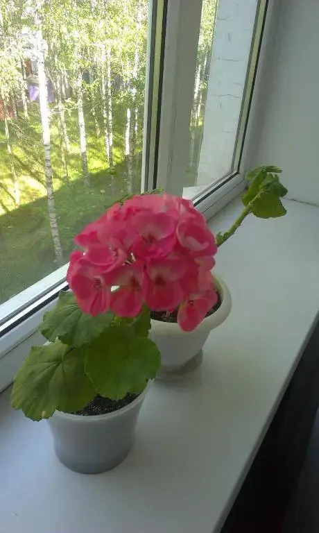 Apartment Chernihivska 13