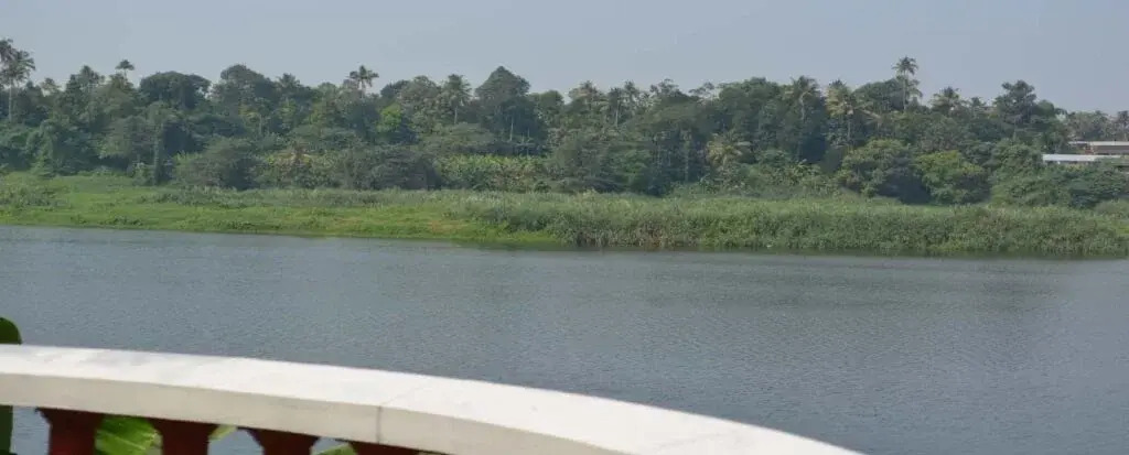 Periyar Riverview Homestay