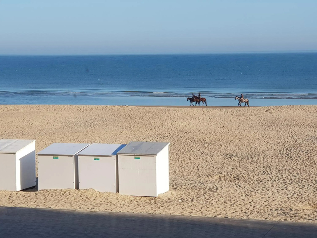 Koksijde Zeedijk La Digue 102 appartement - lateraal zeezicht