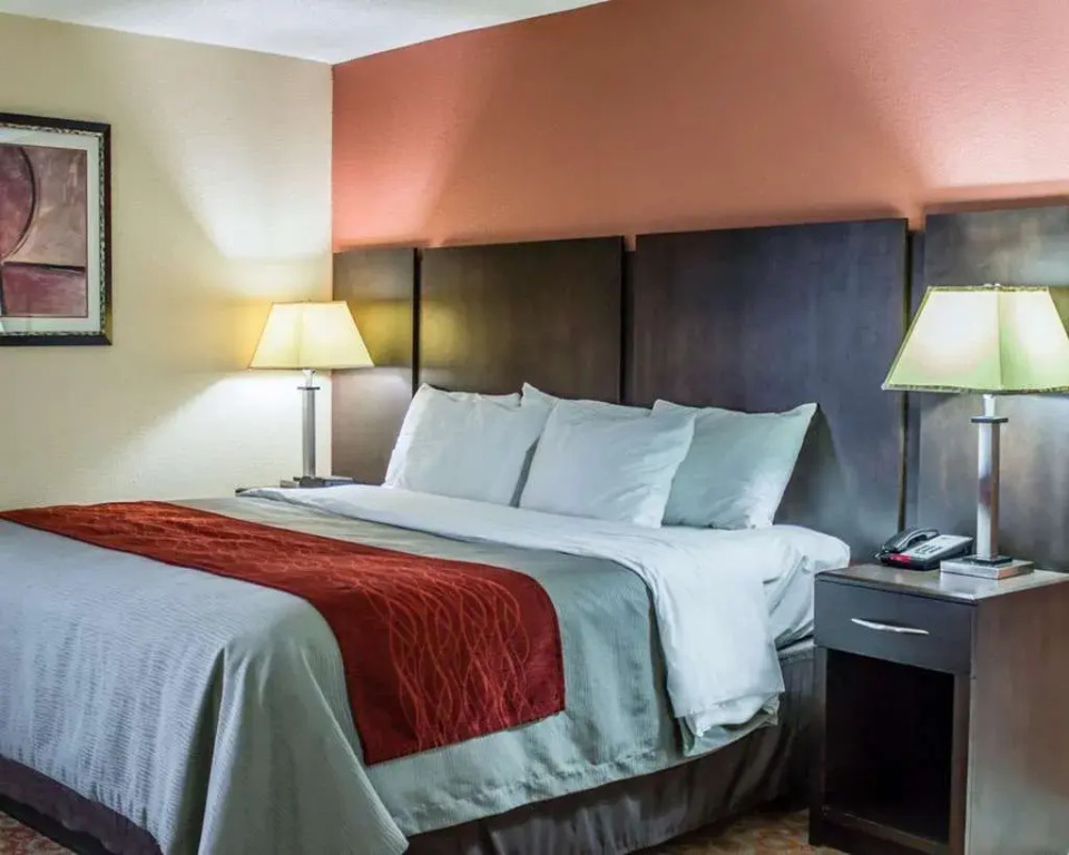 Comfort Inn Raleigh