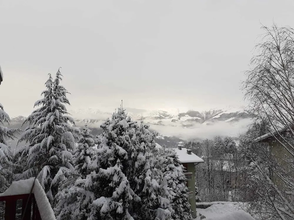 6guests-skiing-mountainviews-fireplace-freeparking