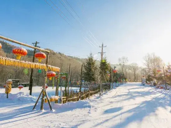 Harbin Snow Gu Liang Li Family Hotel