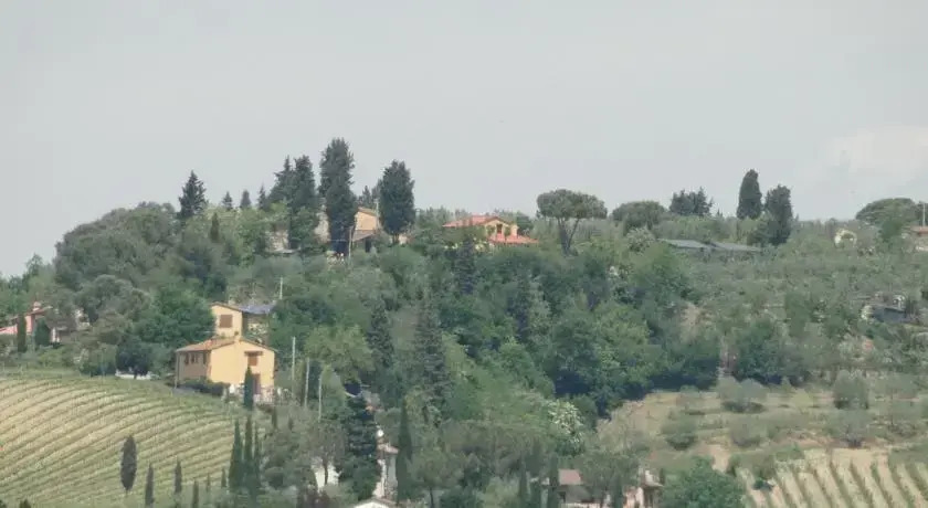 Il pollice verde