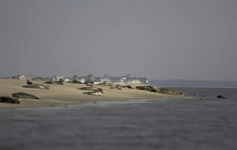 Auberge de la Dune