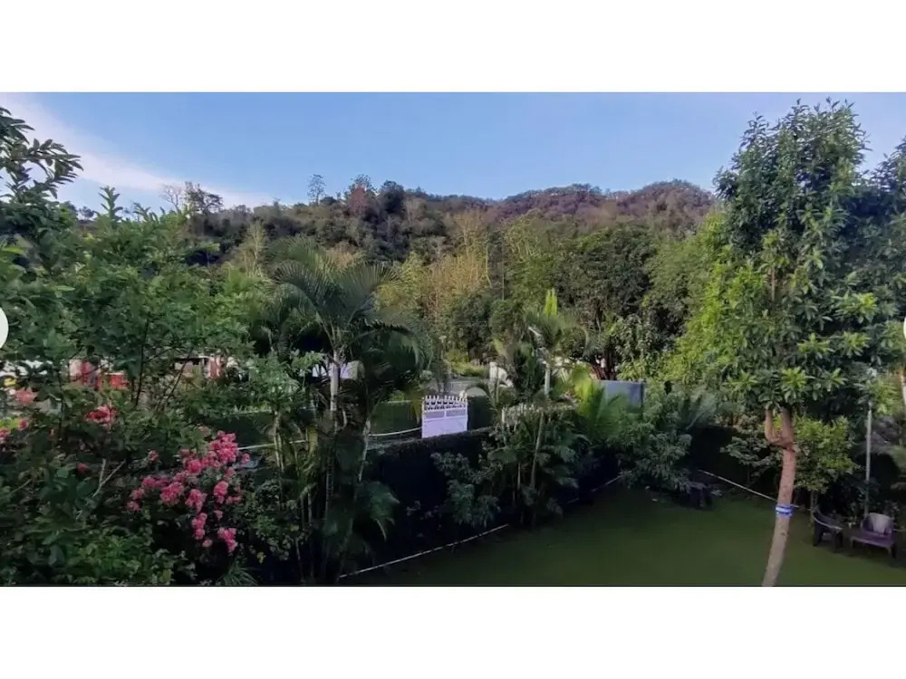 The Nature View Resort