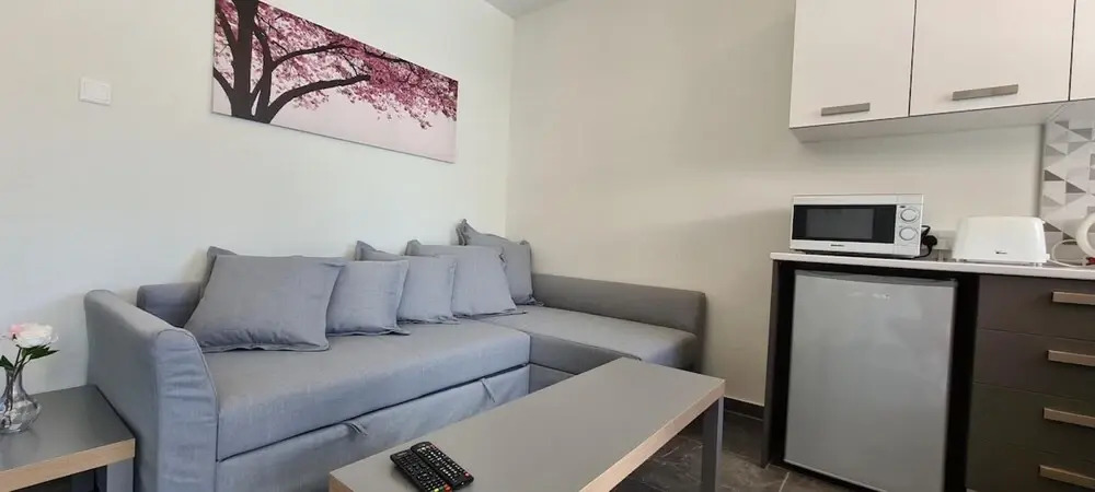 14 AN - 113 Nissi Twins Apartment