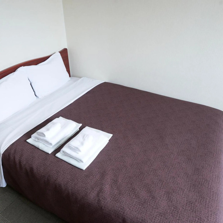 Select Inn Tsuruga