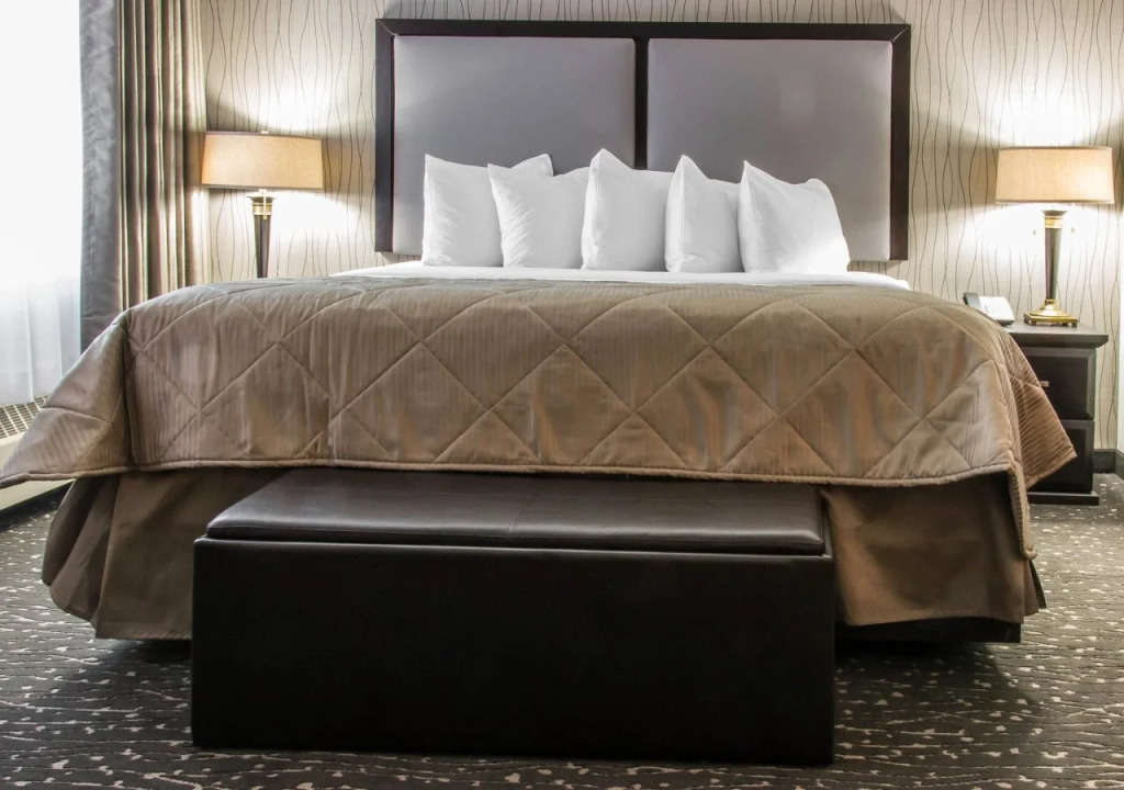 Clarion Hotel & Suites