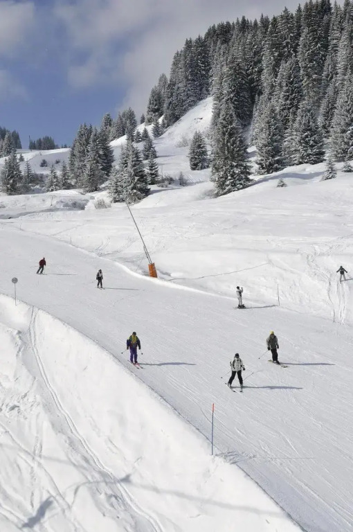 Village Club Les Tavaillons