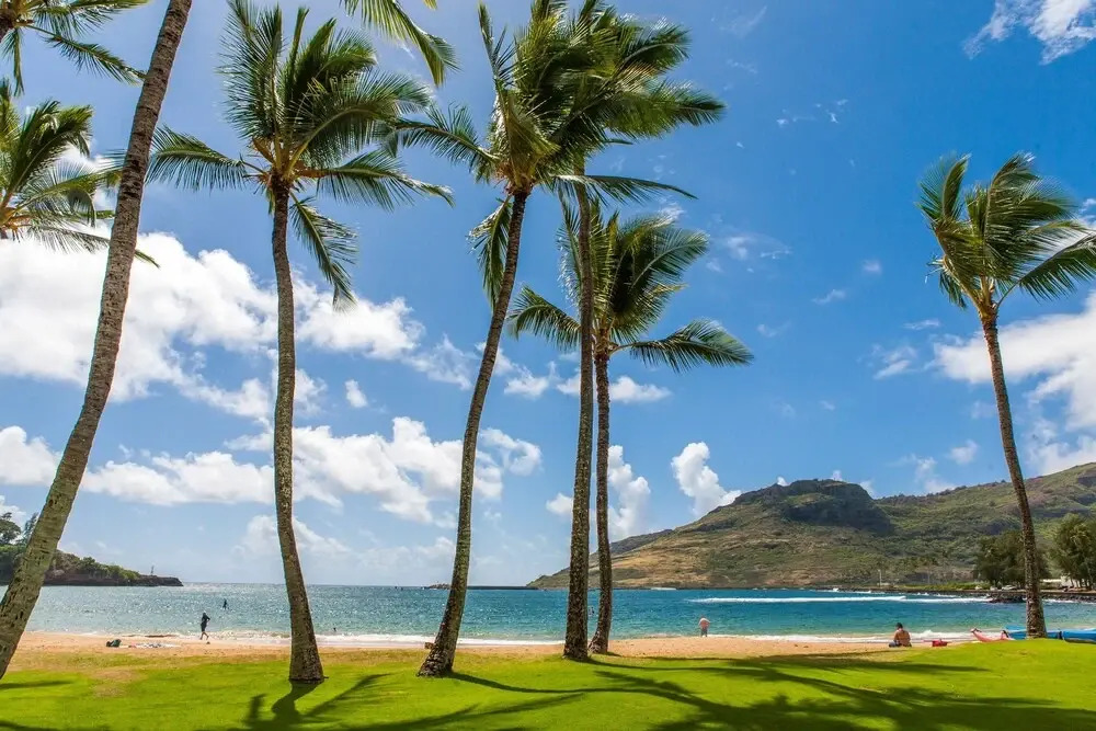 Malu Kauai, A Beautiful Kauai 1 Mile From Kalapaki Beach 1 Bedroom Home by RedAwning