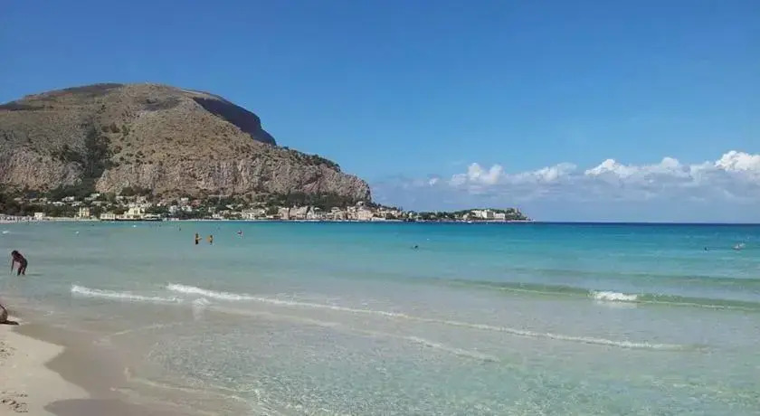Tanguera