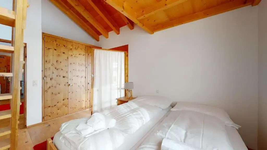 Paludetta 9