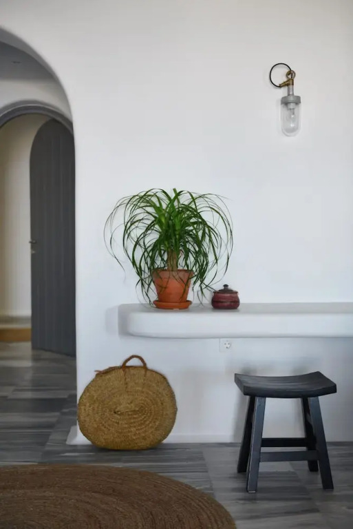 Dio Villa Mykonos